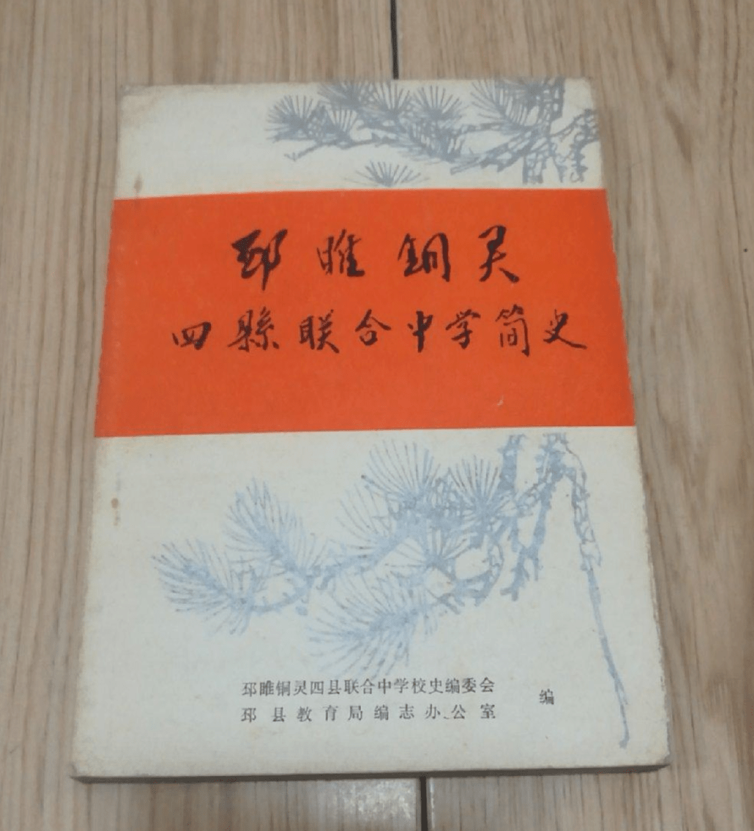 邳睢铜灵四县联合中学创办始末 作者 沈昌玲_睢宁_工作_政权