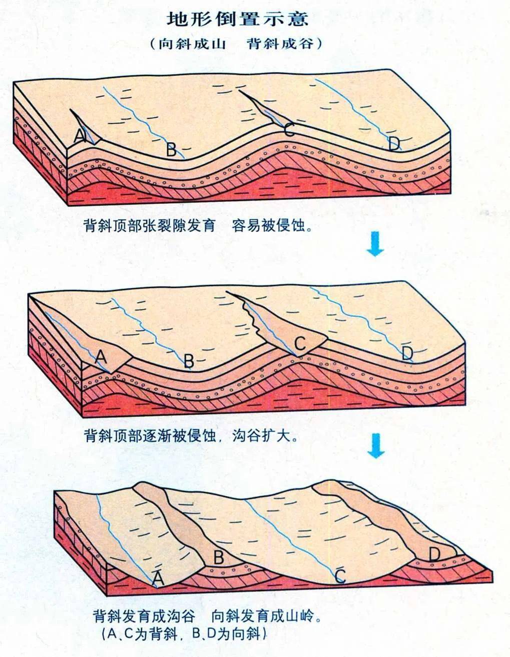 2.背斜谷,向斜山的形成过程沉积岩形成示意图1.