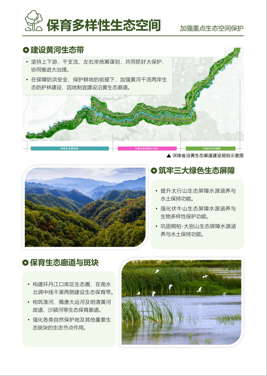 城市_郑州_中心