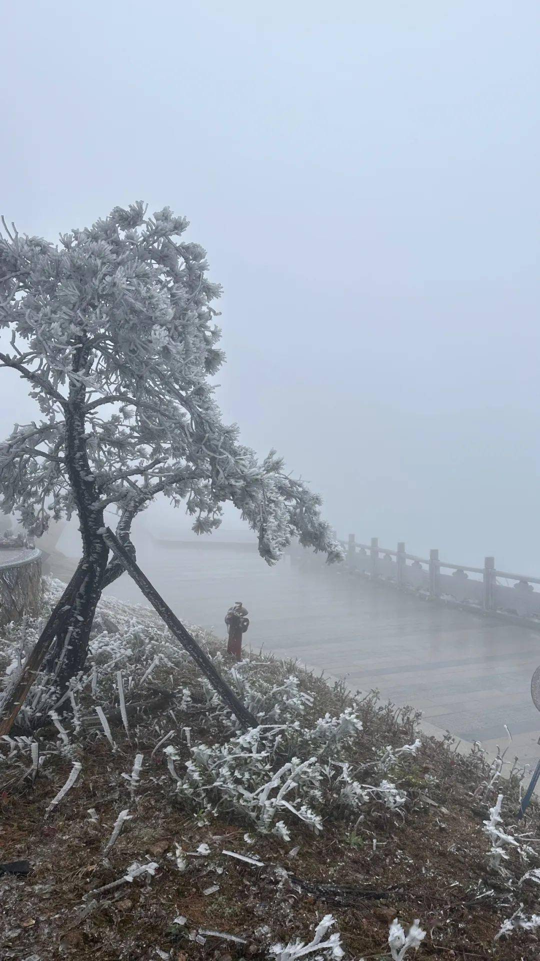 6!九仙山现雨雾凇!泉州接下来的天气…_地区_阵风_德化