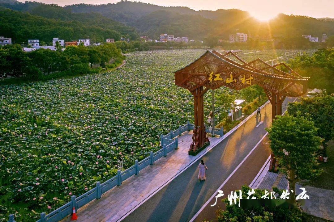 【广州日报专题报道】花都:砥砺奋进 信心满怀!_发展