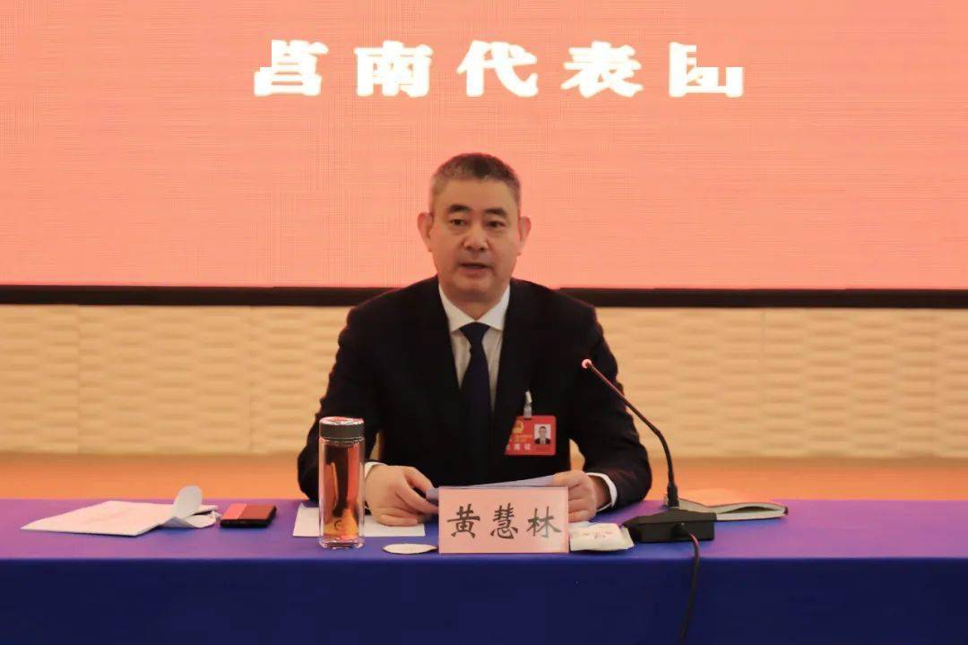 莒南代表团审议人大常委会工作报告及“两院”工作报告