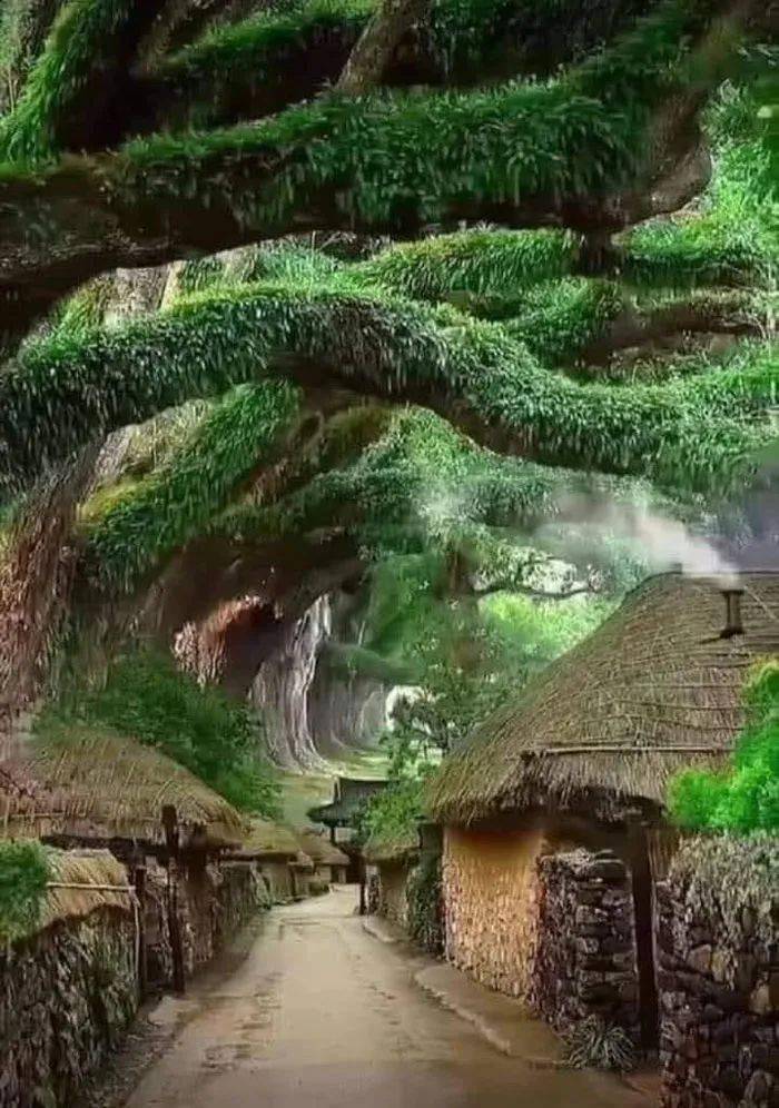 65�Ż��δ������Ƭ�����������Щ����Ľ�����̫������ ...