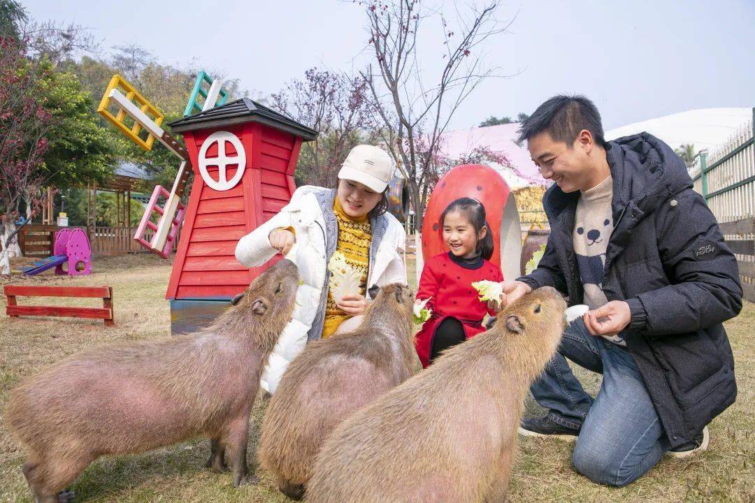 新年倒计时！乐和乐都铆足劲放大招