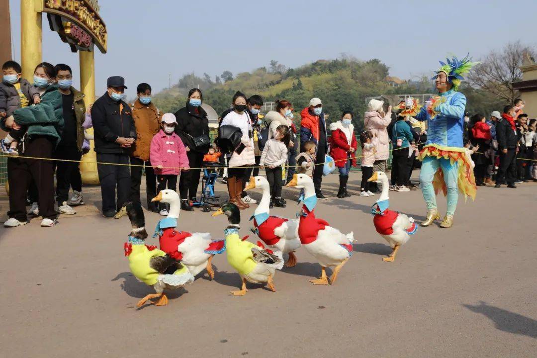 新年倒计时！乐和乐都铆足劲放大招