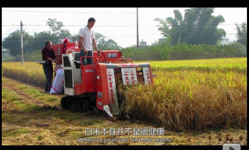 BBC纪录片清点全球最不安康的饮食体例, 中国人中了好多箭……那说的是你吗？