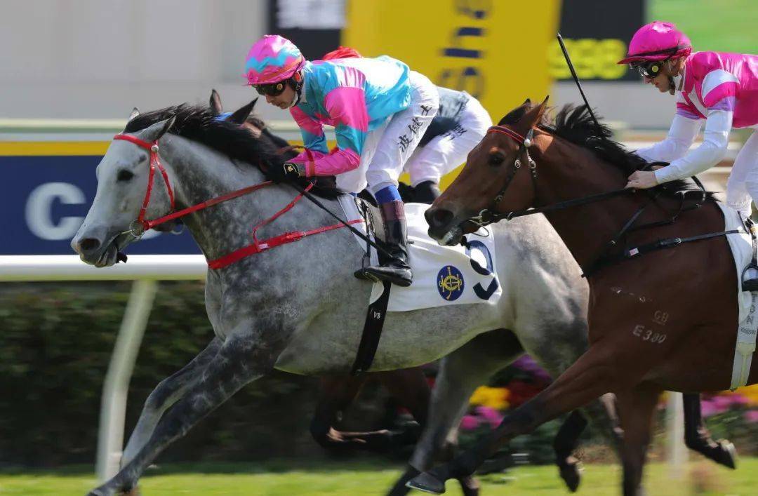 ������֮ս������ǹ��ʮ�����ۡ����±��� ���������ݡ�һ�� ...