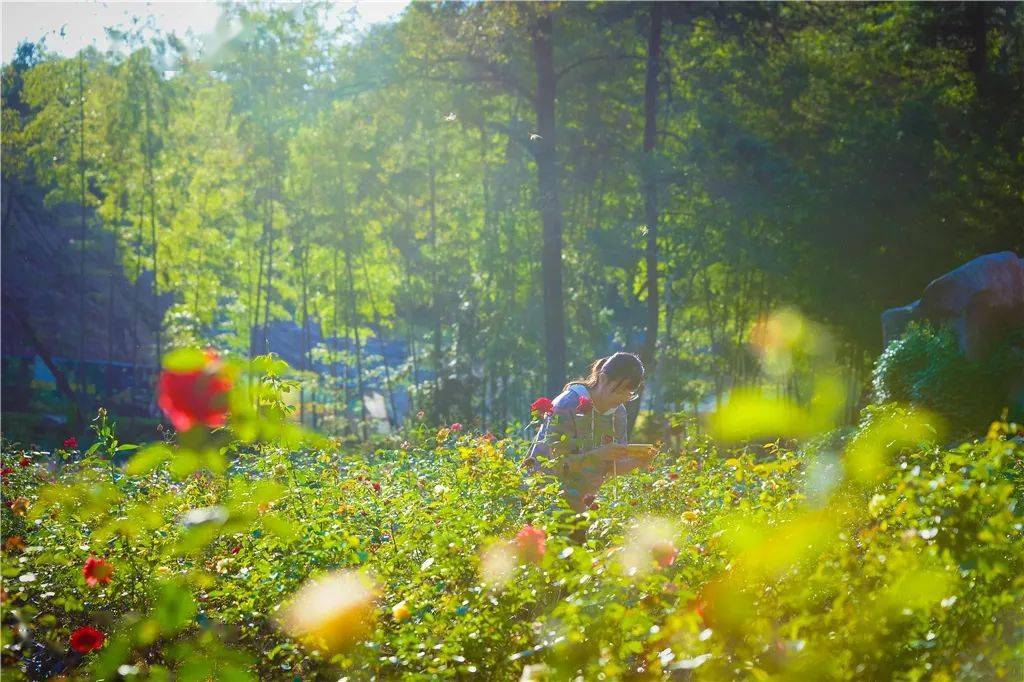 赏花、听瀑、登高、喂萌宠…韶关初春不成错过的踏青好去向来了，还免费