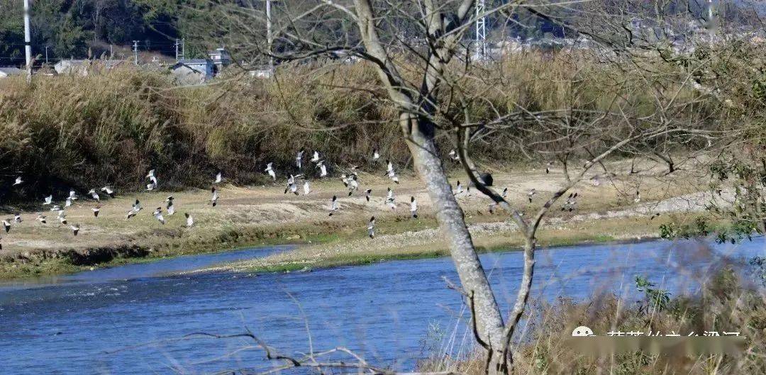 【聚焦两会】梁河：湿地庇护显效果 生态美景现南甸