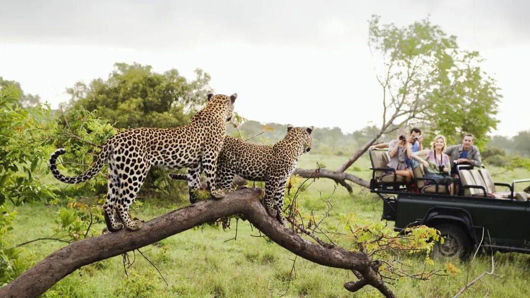 13��˽�˷ɻ��г̸��·������ļ��������ǰѻ������������� ...