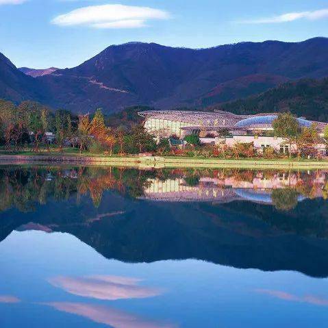 �������˱�����һĨ������ɫ