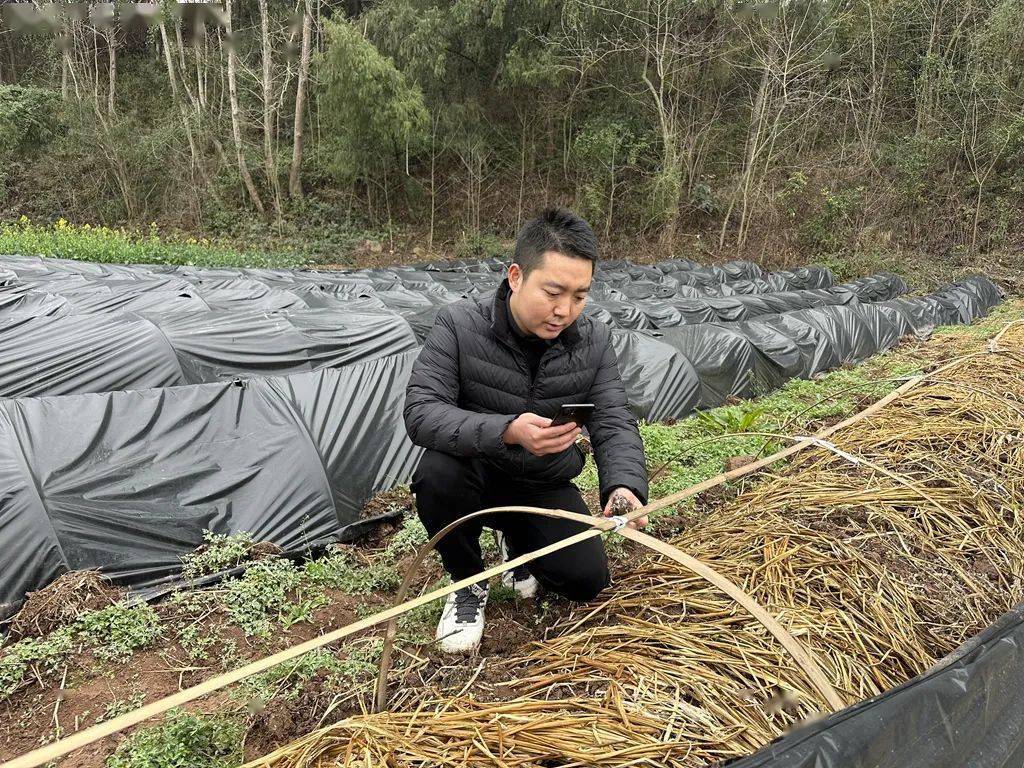 他们太“土”了居然用果蔬为自己命名……(图1)