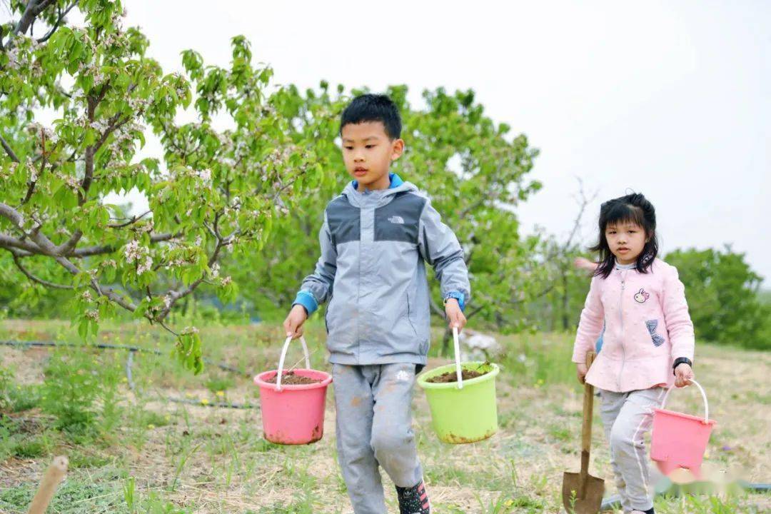 Back to Earth丨大地之子农做系列课程（春夏日）