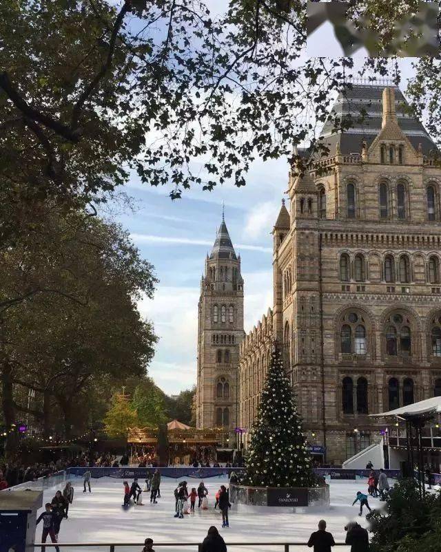 ���׶ظ�������������У���������