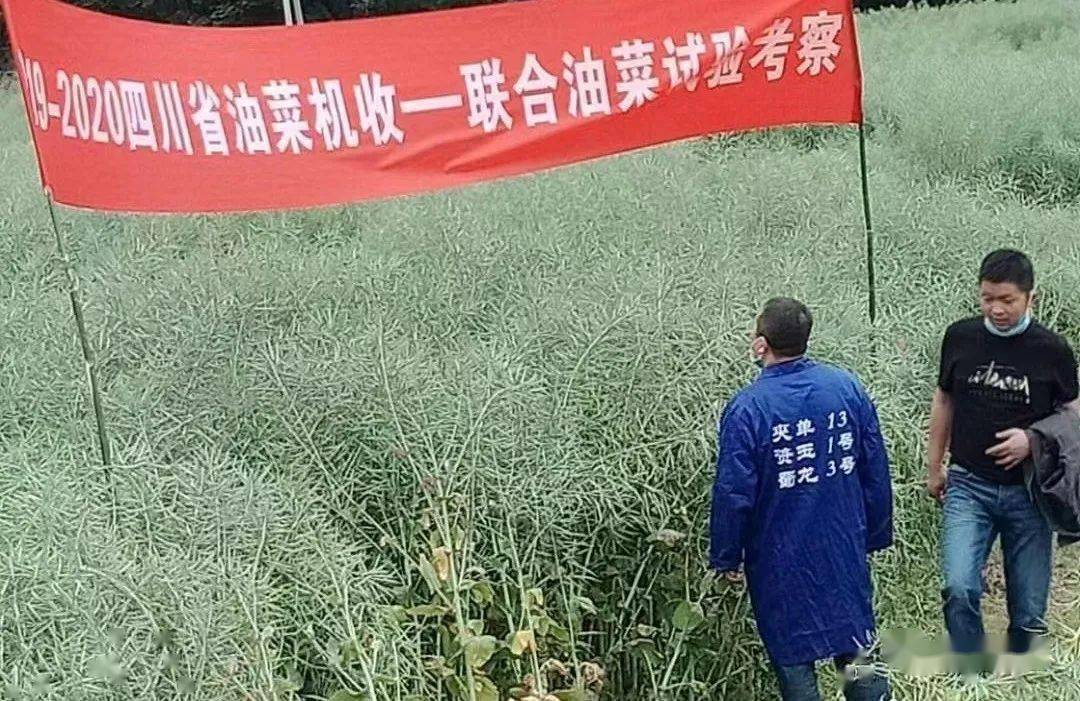 省级示范！简阳再添9家！名单→