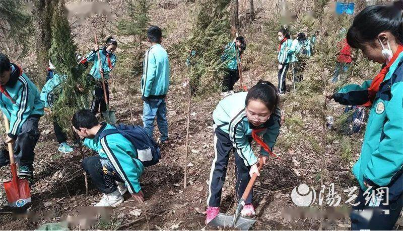 武功县第二尝试小学植树节活动纪实