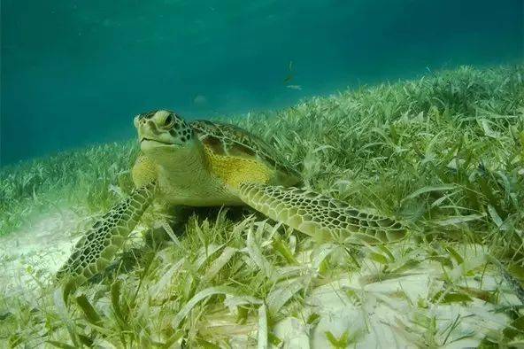 ��֪��������������ϸ��ɳ̲����ʵ���㡾��㡿��