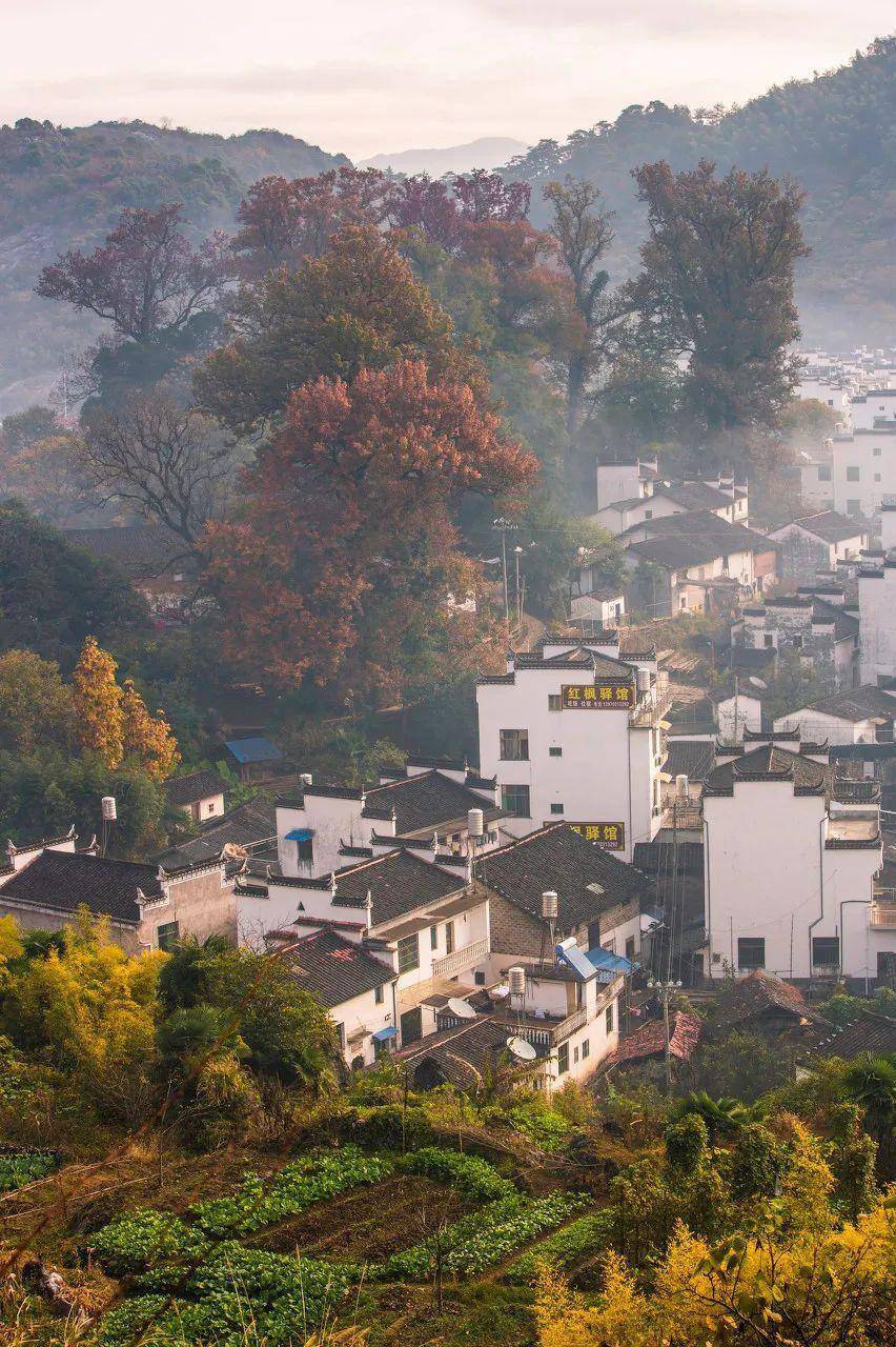 保藏！11月旅游地保举！错峰出游，那些处所已经美成仙境！