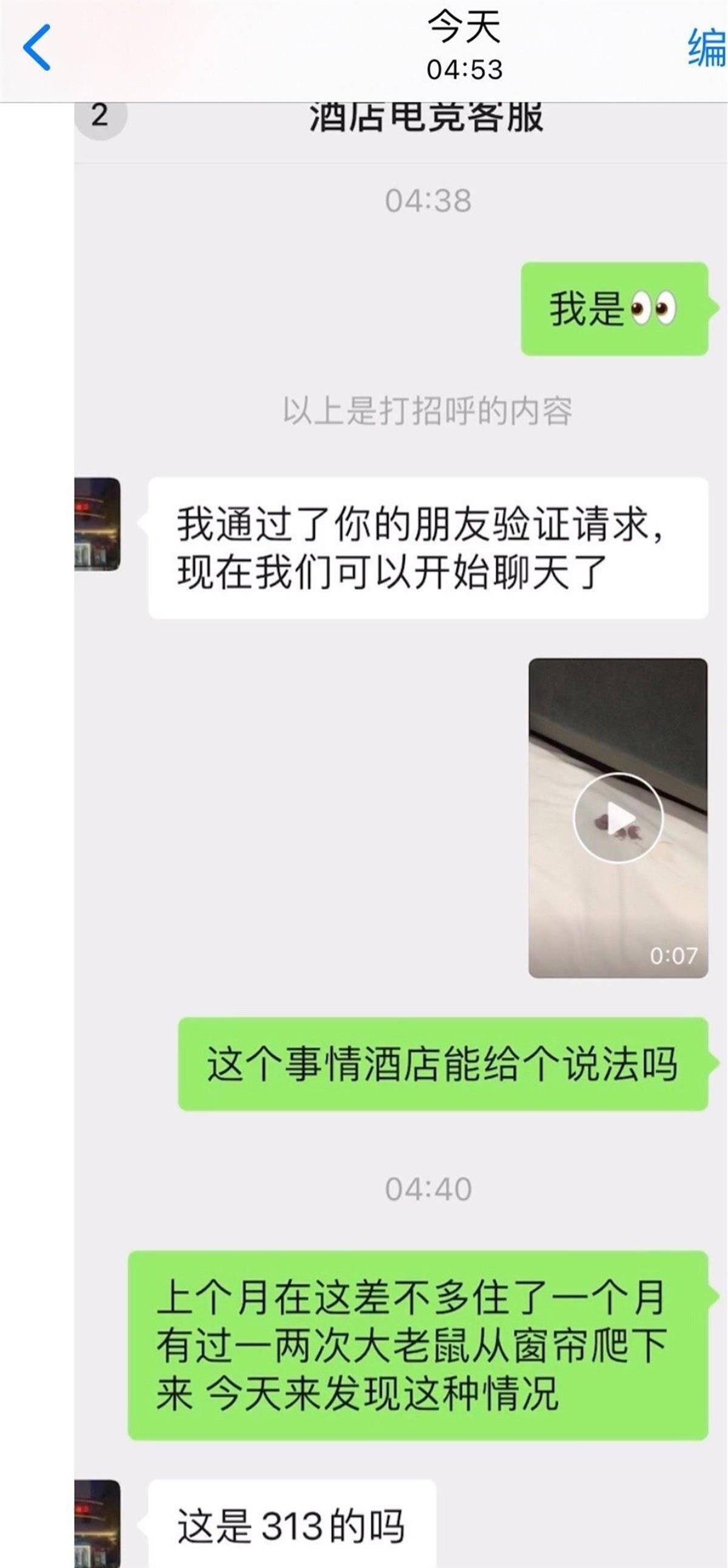 麻了！男子入住南昌战网电竞酒店 枕头下竟有一窝小老鼠