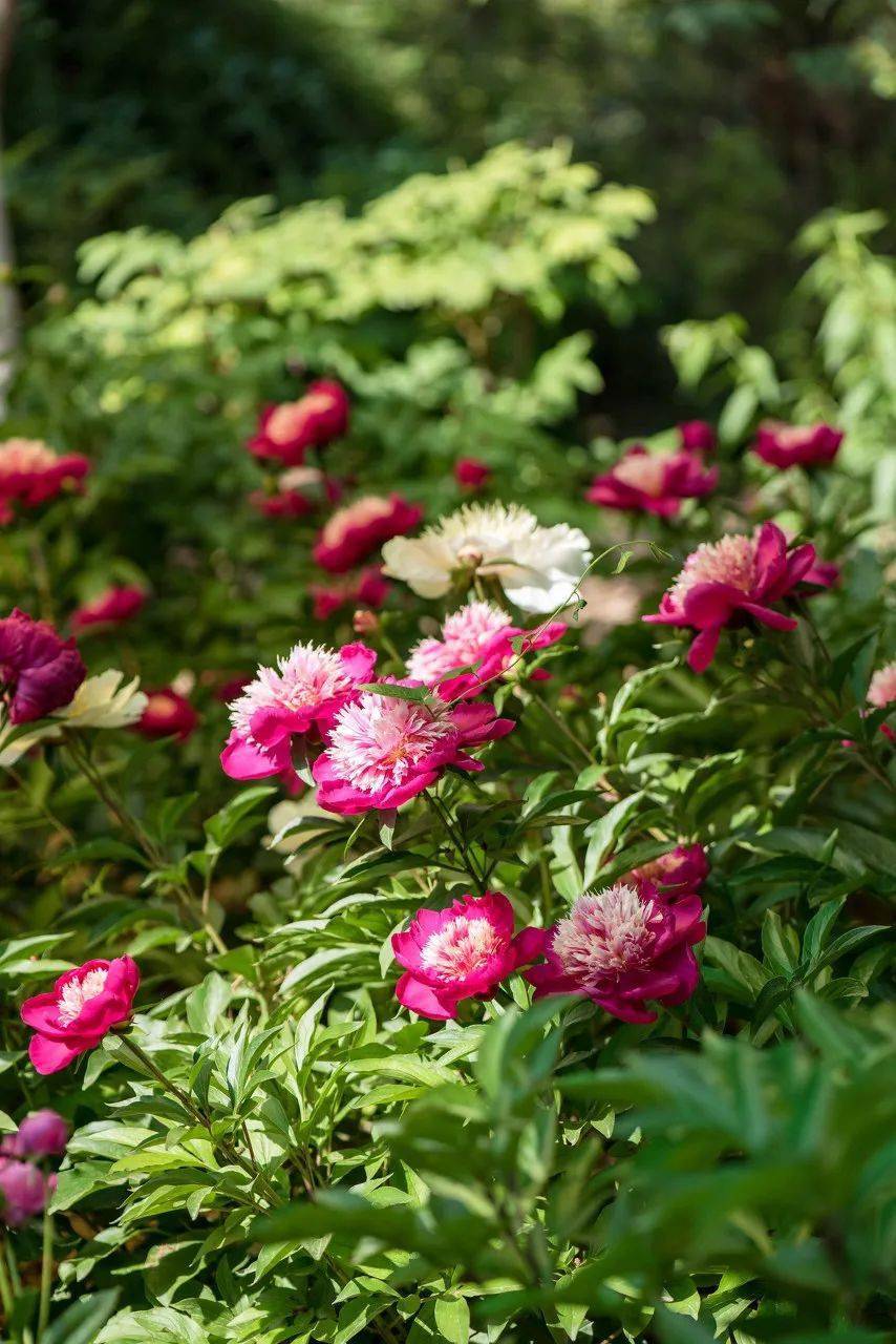 �й���һ�Ʋ���5A������Ƿծ4���ڣ���Ʊ���Ǽۣ���Ȫˮֻ ...