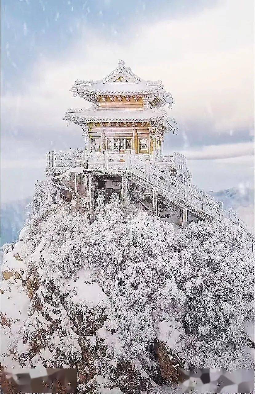 �й���һ�Ʋ���5A������Ƿծ4���ڣ���Ʊ���Ǽۣ���Ȫˮֻ ...