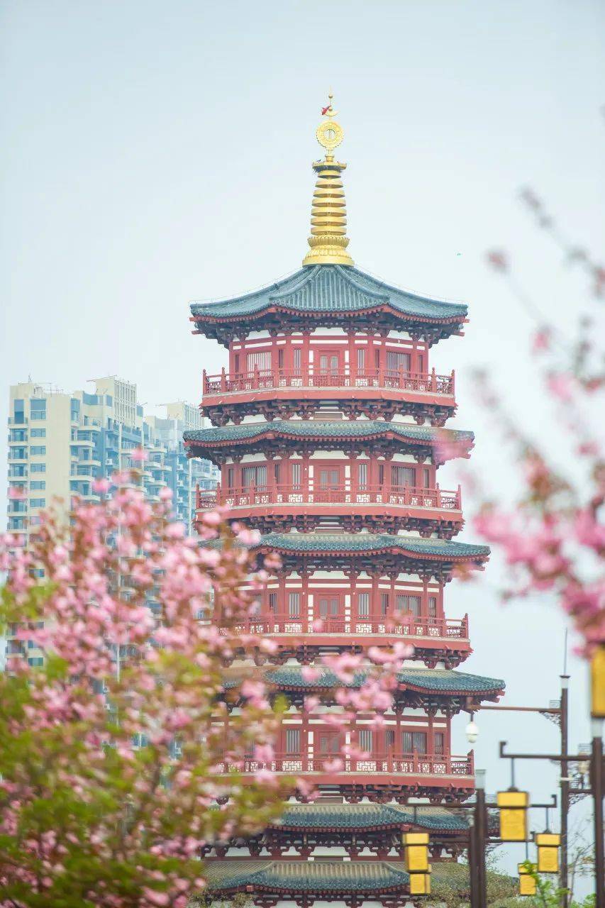 �й���һ�Ʋ���5A������Ƿծ4���ڣ���Ʊ���Ǽۣ���Ȫˮֻ ...