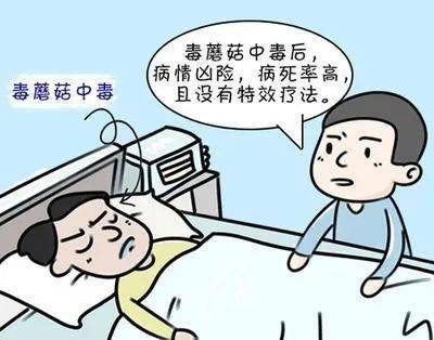 告急提醒！“毒王”即将上线，广东很常见！