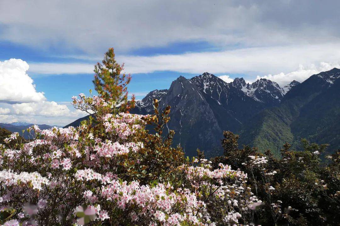 那届年轻人，爱上了雨崩徒步