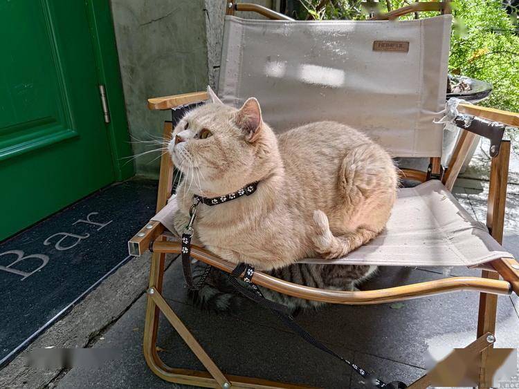 ��ѶROG��Ϸ�ֻ�7 Pro���⣺��ֹӲ�ˡ�������������