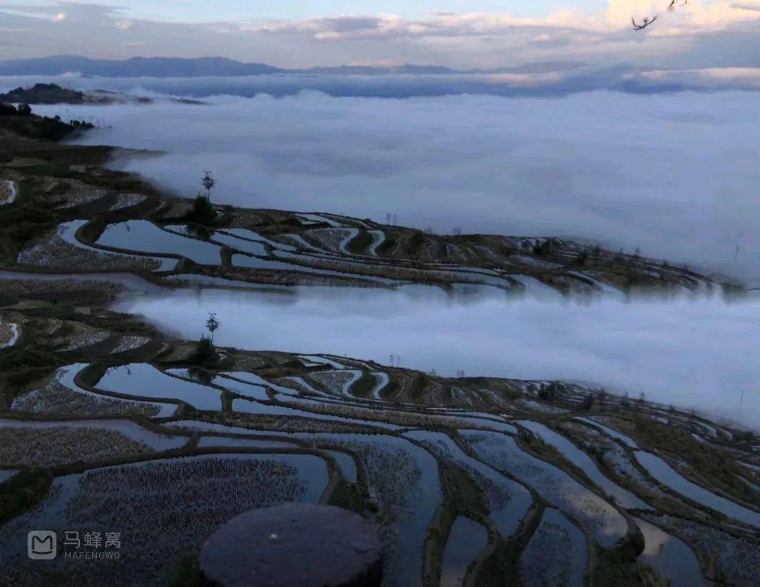 历经五天的山火末灭！！安闲胜过洱海，恬静胜过丽江，那座高铁中转的小寡仙境，合适提早“养老”