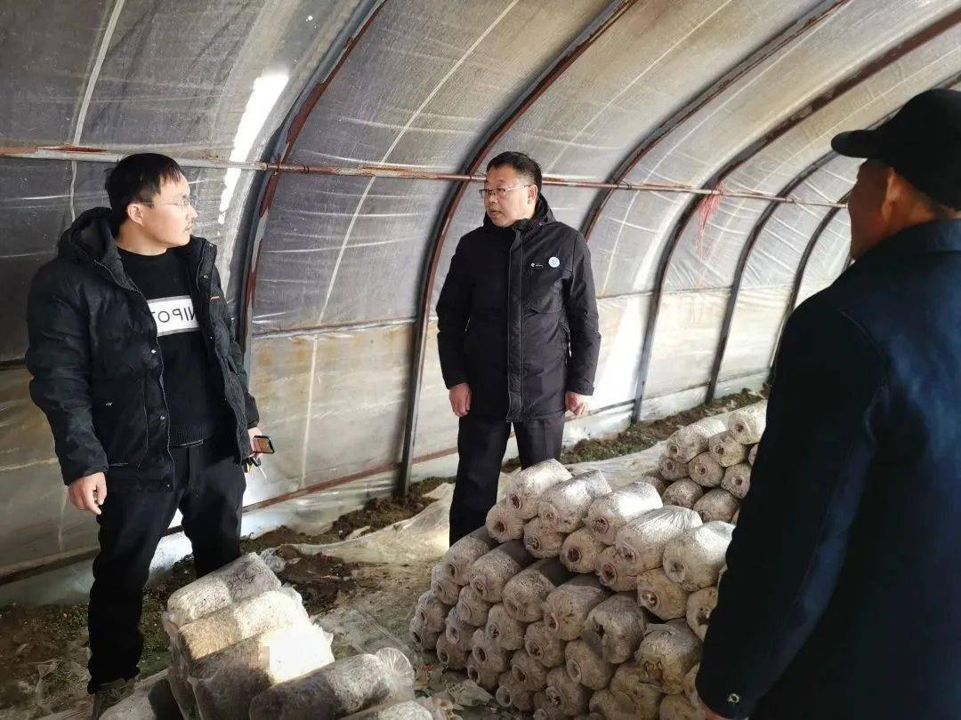 优秀人才风采录 县食用菌产业服务中心高级农艺师J9九游会 九游会J9王运杰(图3)