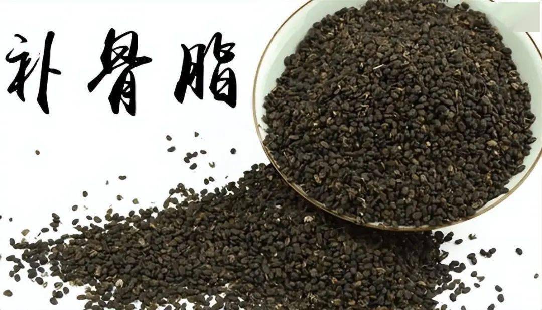 补骨脂是临床常用中药，是经典方剂四神丸、二神丸等的主要组成药物。以