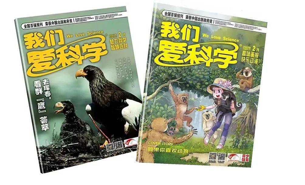 如何观察一朵花 ？| 我们爱科学