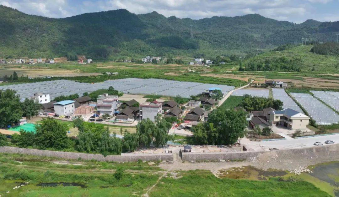 孟溪开云 开云体育平台镇寨阳村：特色农家乐敲开乡村振兴“致富门”(图5)