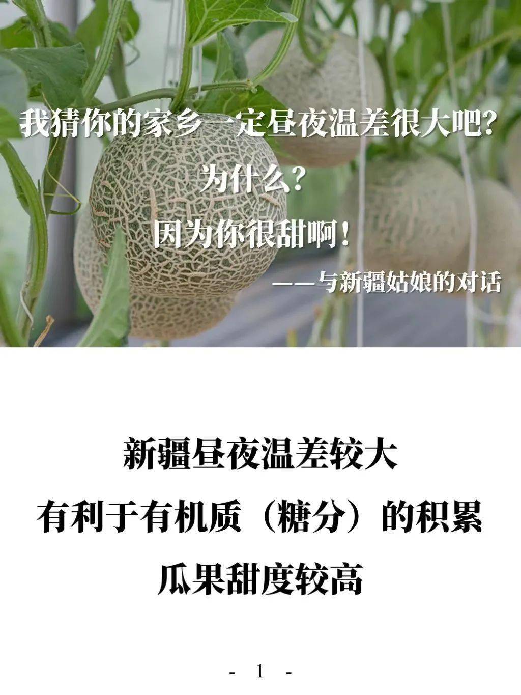 文章配图-20