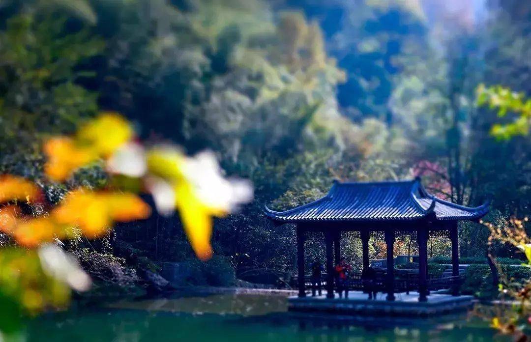 自由奔放~浙江10条最美自驾公路，沿路风景美如画！
