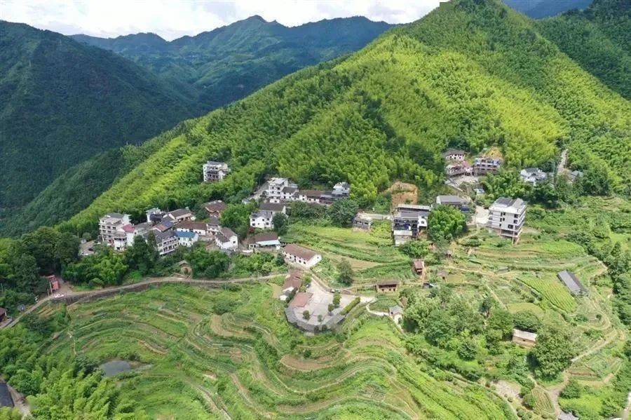 农家乐（民宿）一房难求！龙泉高山避暑经济激活康养产Kaiyun 开云业