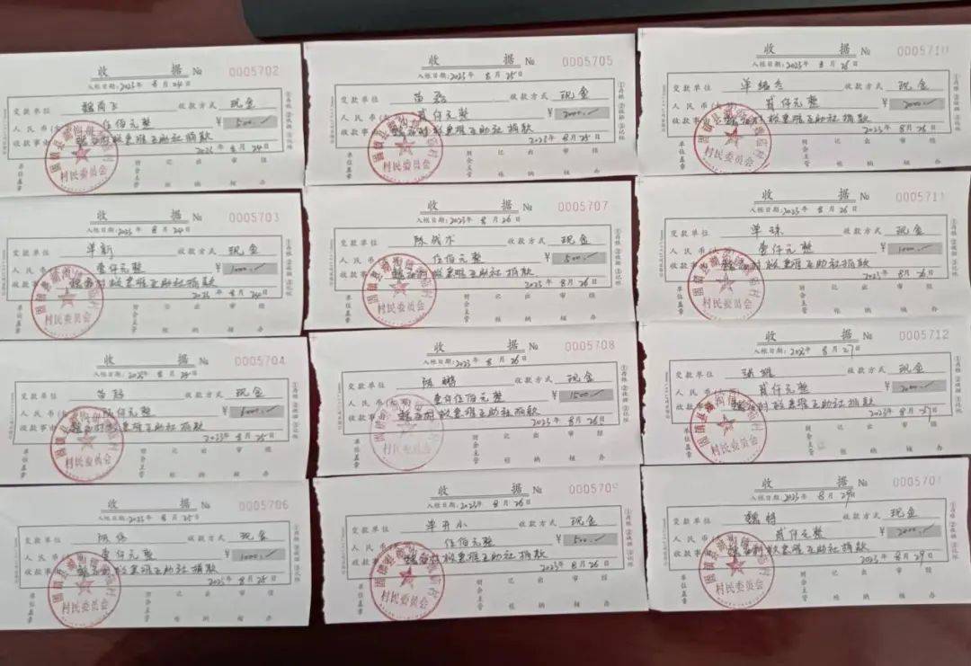 下一步，湖沟镇和各村居将强化资金使用和监管，确保救助规范、对象精准