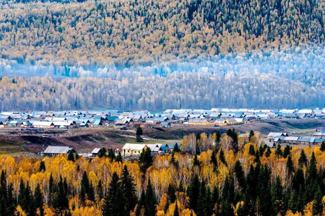 去新疆阿勒泰地区布尔津县，看中国最美秋色！