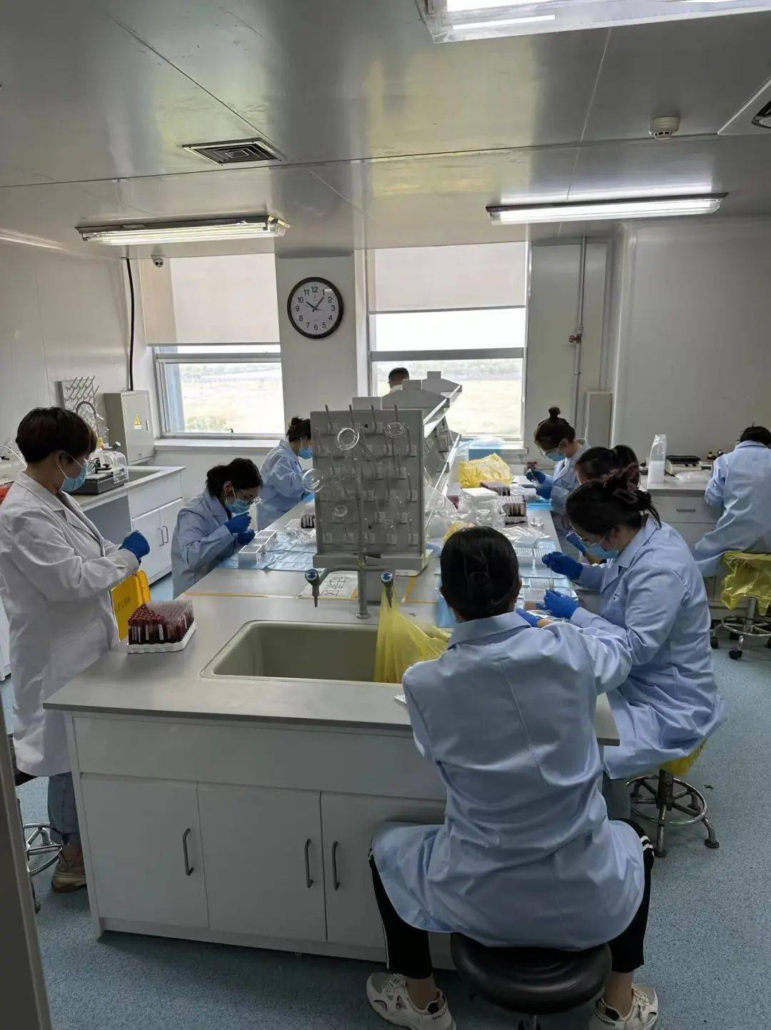 不负芳华实验室IM电竞 IM电竞官网里展巾帼风采(图2) 不负芳华实验室IM电竞 IM电竞官网里展巾帼风采(图2)