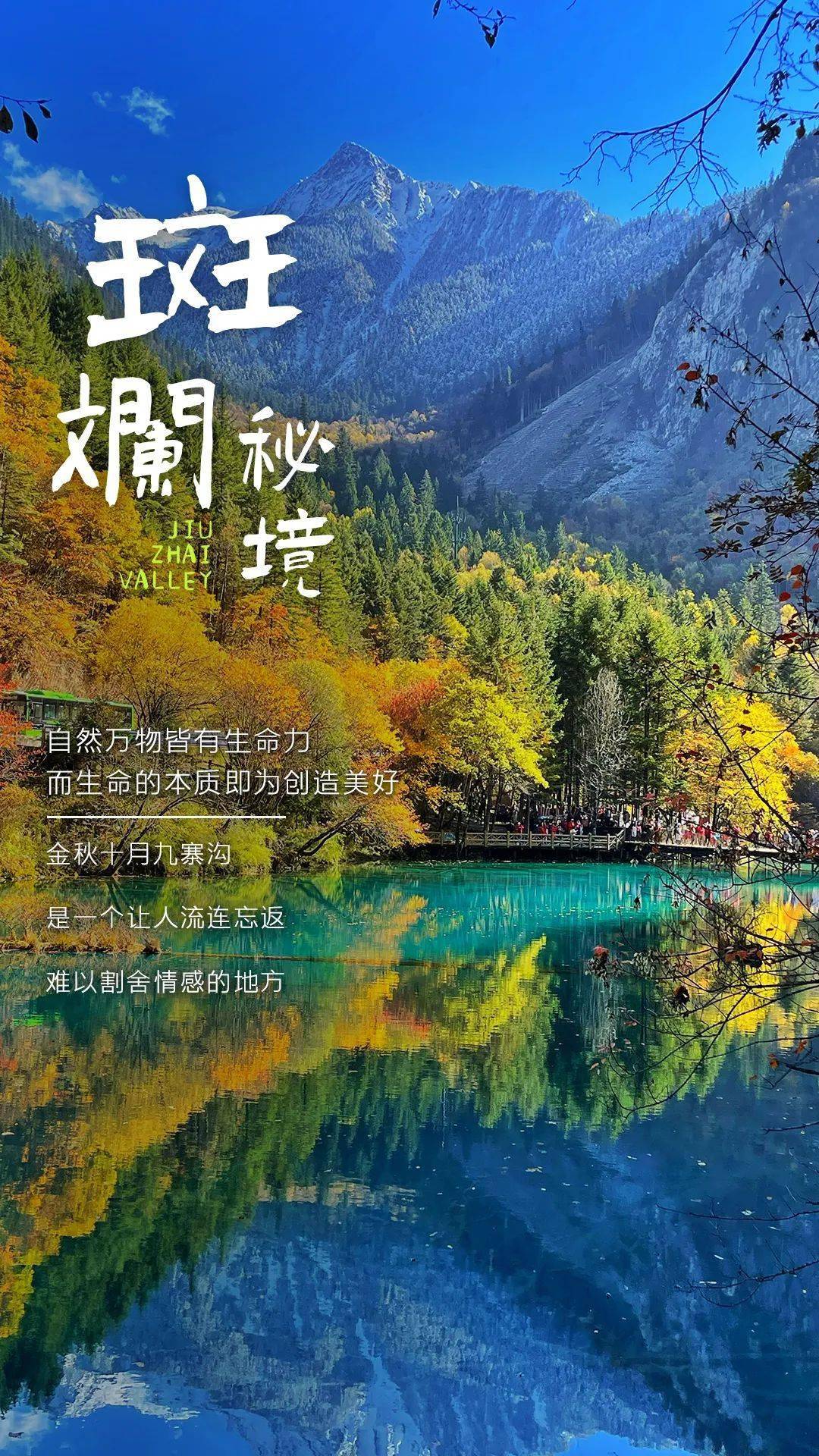 全域旅游 | 十月九寨沟，是生命创造的斑斓秘境