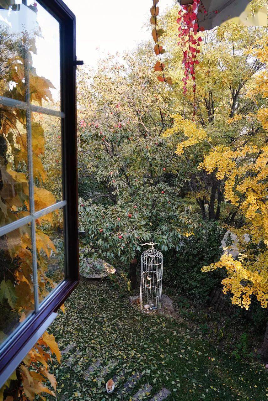 国内十一月最美的8个小众旅行地，游人不扎堆，好吃好玩还便宜，绝对刷爆你的朋友圈......​
