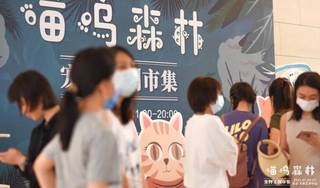 文章配图-488
