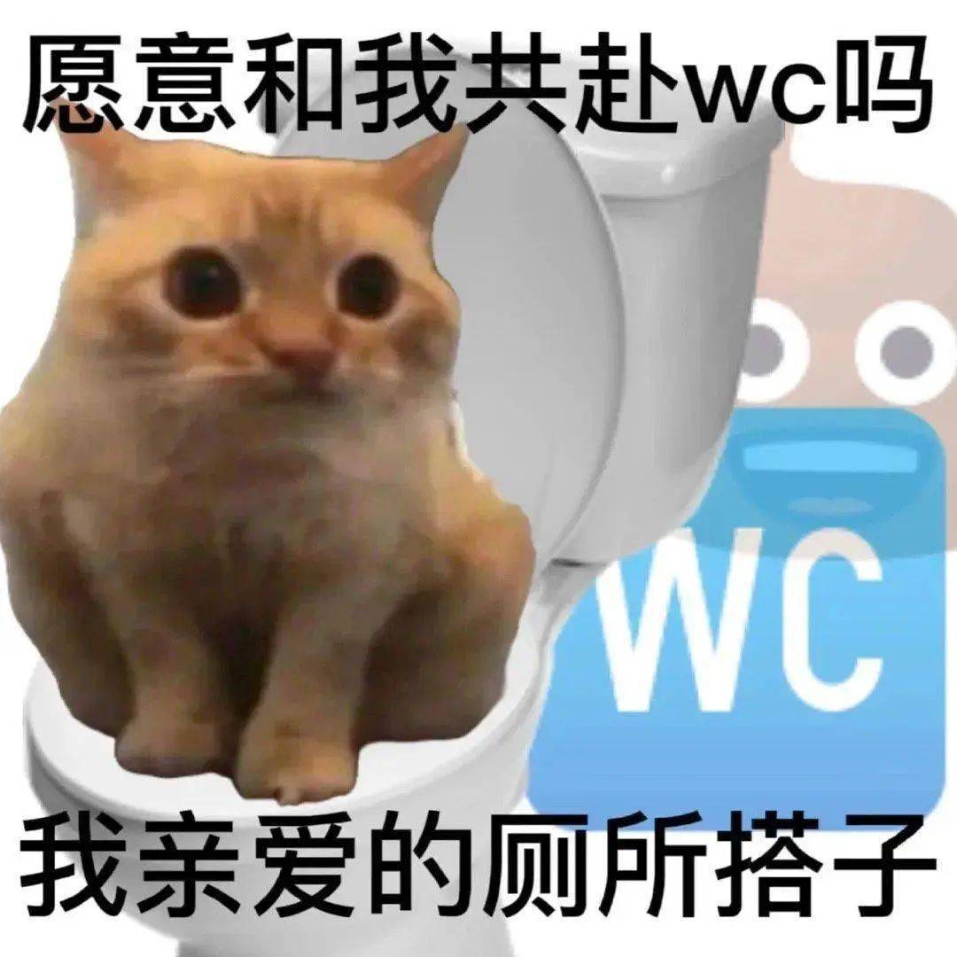 文章配图-24