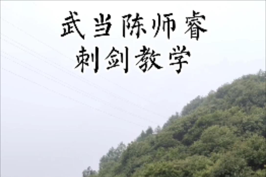 武当陈师睿第16集刺剑教学