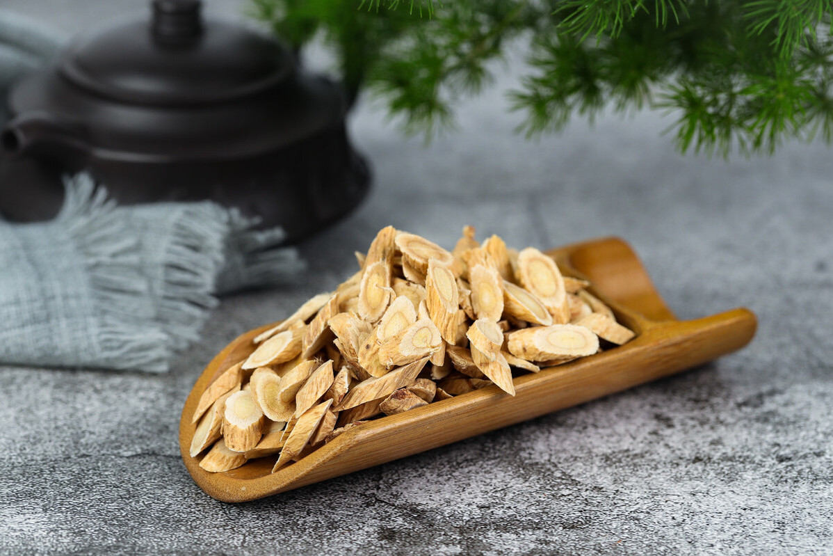 南芪到底有何功效中医为你揭秘