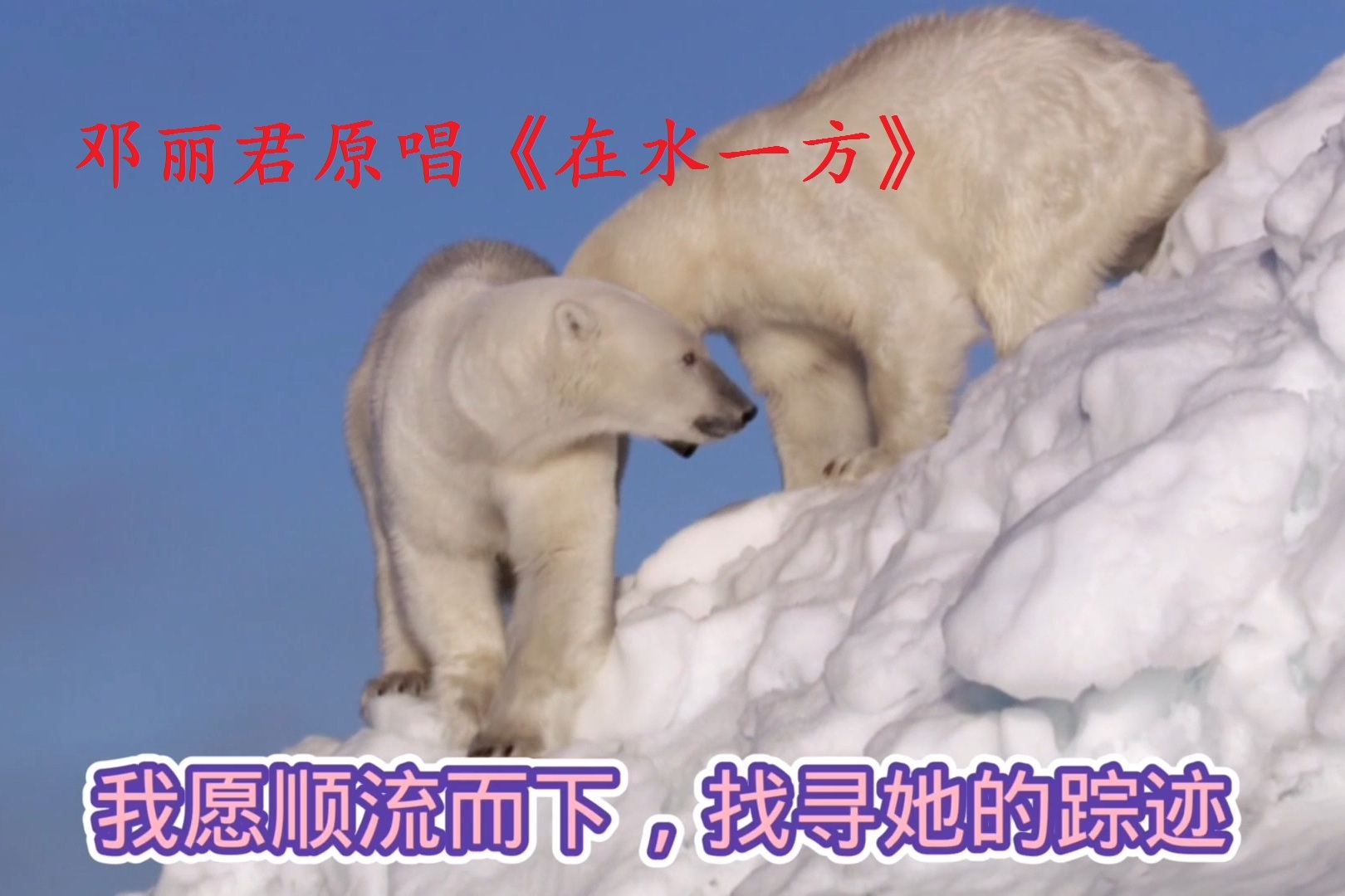 邓丽君原唱怀旧歌曲百听不厌在水一方经典港台歌曲