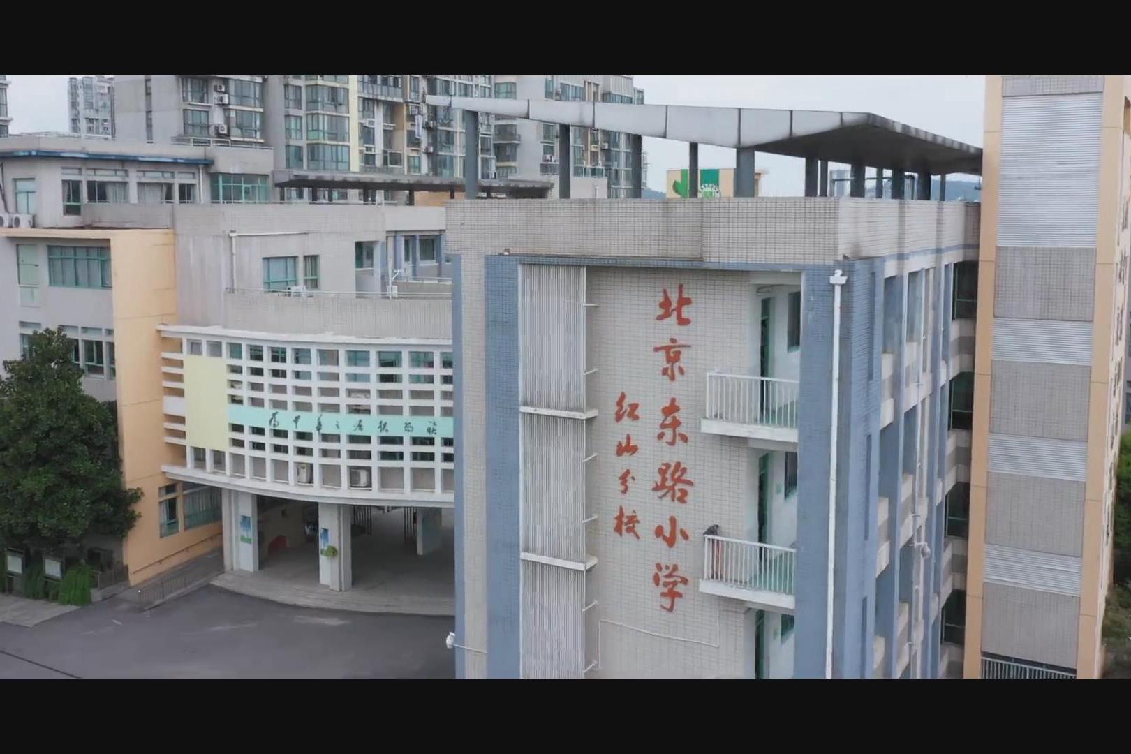2020这一年丨对话校长南京市北京东路小学红山分校副校长周圆