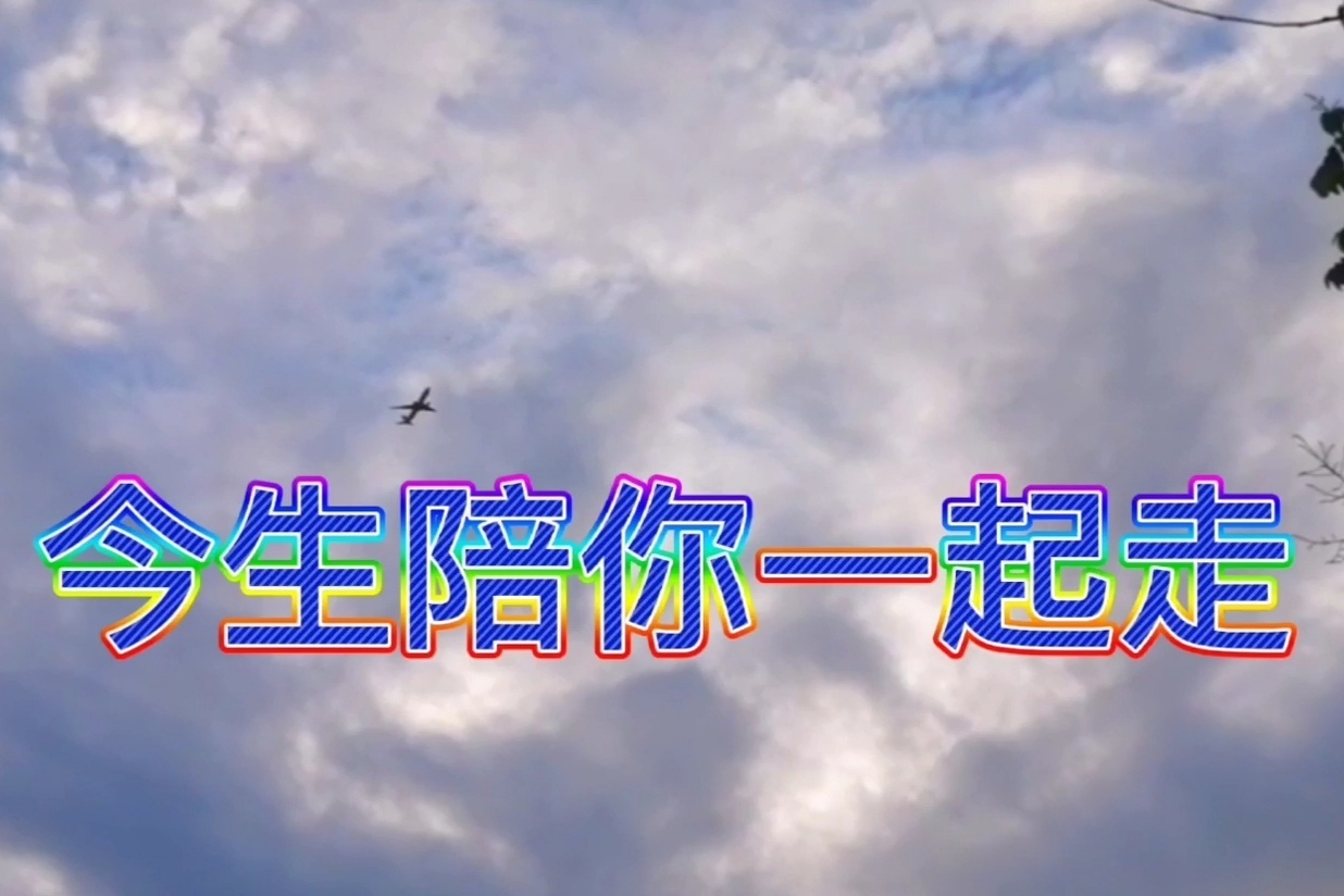 一首今生陪你一起走悦耳动听肩并肩手牵手和你相依到白头