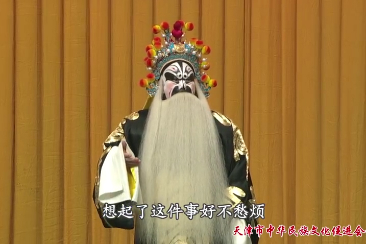 京剧将相和选段邓沐伟饰演廉颇